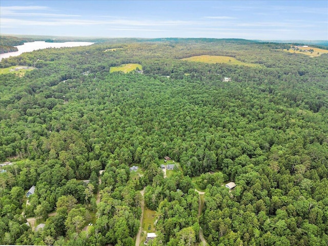 134 Powers Drive Ln, Orland, ME 04472 - bird's eye view of a forest and a large body of water