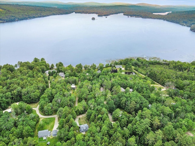 134 Powers Drive Ln, Orland, ME 04472 - aerial view of property's location featuring a large body of water and a heavily wooded area