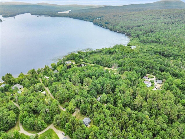 134 Powers Drive Ln, Orland, ME 04472 - drone / aerial view of a forest and a nearby body of water