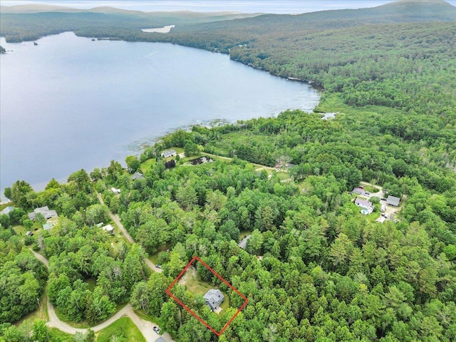 134 Powers Drive Ln, Orland, ME 04472 - view of property location featuring a large body of water and property boundaries highlighted