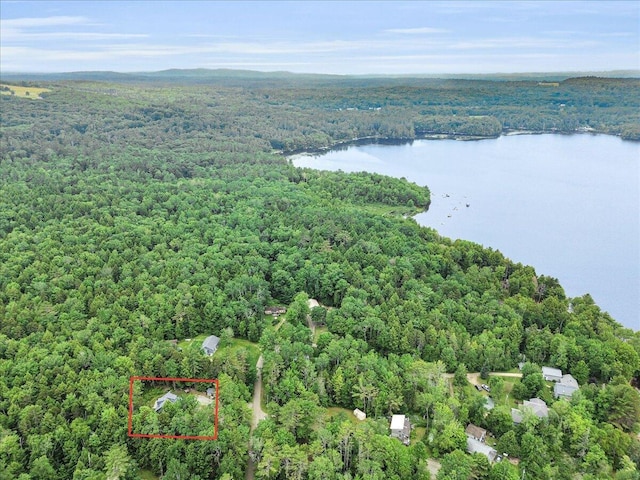 134 Powers Drive Ln, Orland, ME 04472 - view of property location featuring a large body of water and property parcel outlined
