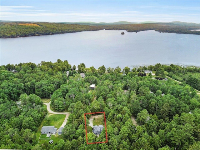 134 Powers Drive Ln, Orland, ME 04472 - aerial view of property's location with a nearby body of water and property boundaries highlighted
