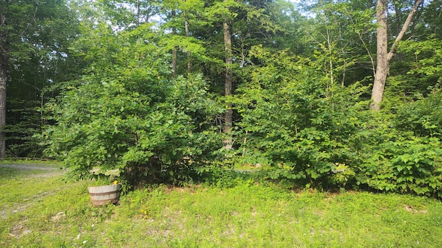2198 Eight Rod Rd, Sidney, ME 04330 - view of undeveloped land