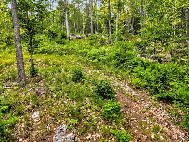 977 Alna Rd, Alna, ME 04535