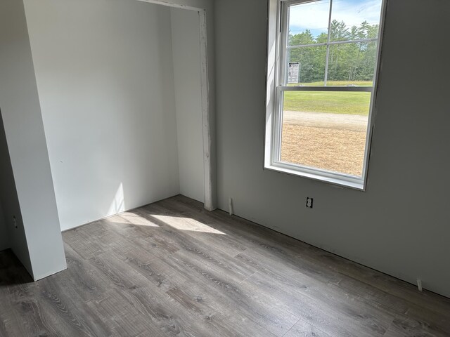 17 Emmas Way, Limerick, ME 04048 - spare room with wood finished floors