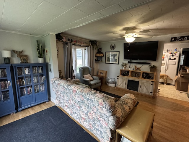19 Milk St, Fort Fairfield, ME 04742 - photo 24