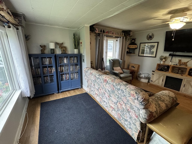 19 Milk St, Fort Fairfield, ME 04742 - photo 25
