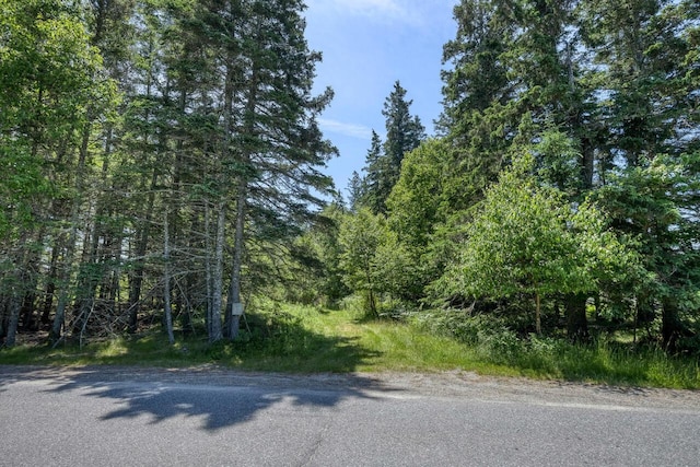 6-60B Tea Hill Rd, Stonington, ME 04681 - photo 1