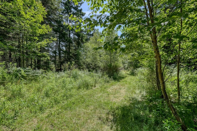 6-60B Tea Hill Rd, Stonington, ME 04681 - photo 2