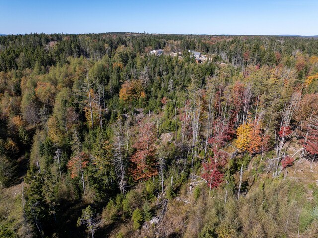 6-60B Tea Hill Rd, Stonington, ME 04681 - photo 4