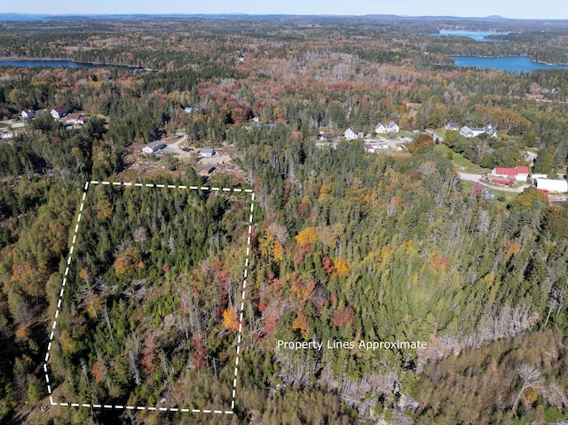 6-60B Tea Hill Rd, Stonington, ME 04681 - photo 5