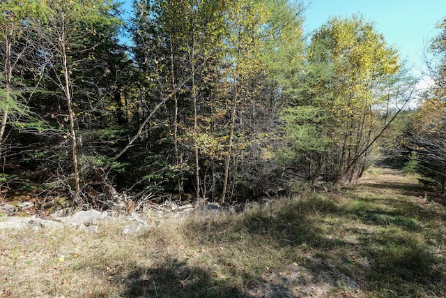 6-60B Tea Hill Rd, Stonington, ME 04681 - photo 6
