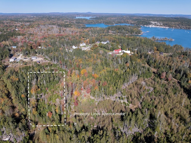 6-60B Tea Hill Rd, Stonington, ME 04681 - photo 7