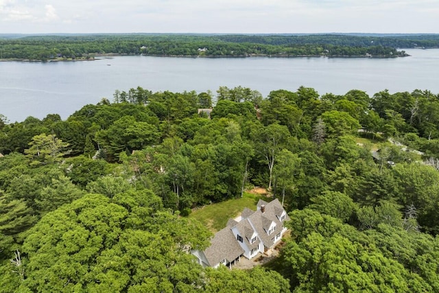 35 Rice Rd, Boothbay, ME 04544 - drone / aerial view of a forest and a nearby body of water