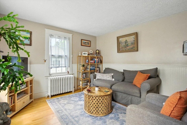 278 S Main St, Auburn, ME 04210 - living room with radiator heating unit, wainscoting, light wood finished floors, and a textured ceiling