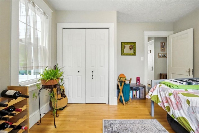 278 S Main St, Auburn, ME 04210 - bedroom with multiple windows, light wood-style floors, and a closet
