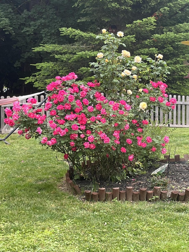278 S Main St, Auburn, ME 04210 - view of yard