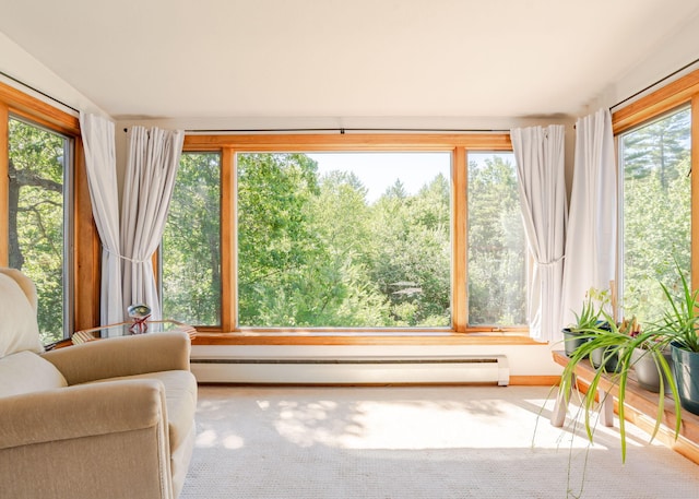 103 Hardscrabble Rd, Hollis, ME 04042 - sunroom / solarium with baseboard heating and carpet floors