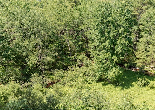 103 Hardscrabble Rd, Hollis, ME 04042 - view of undeveloped land