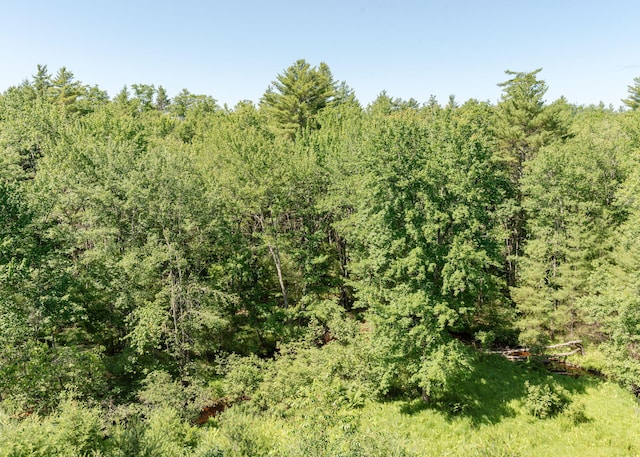 103 Hardscrabble Rd, Hollis, ME 04042 - view of wooded area