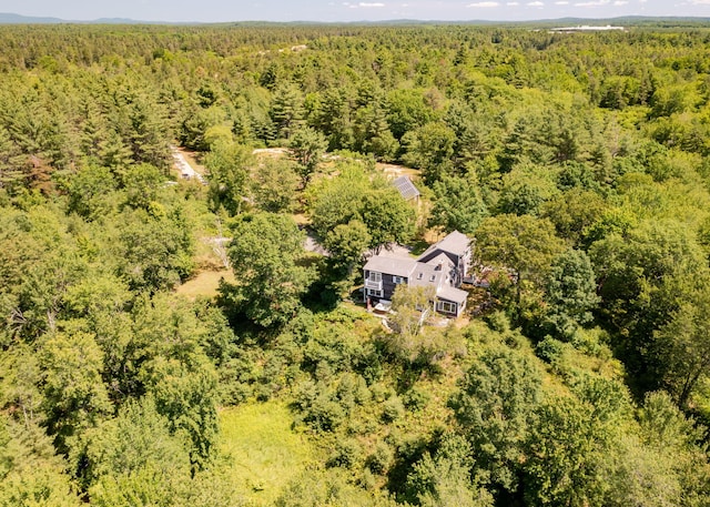 103 Hardscrabble Rd, Hollis, ME 04042 - drone / aerial view of a heavily wooded area