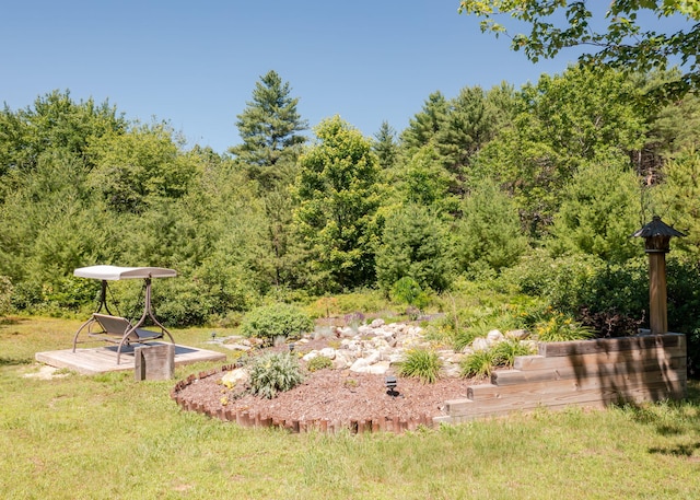 103 Hardscrabble Rd, Hollis, ME 04042 - view of grassy yard featuring a forest view