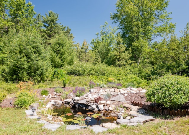103 Hardscrabble Rd, Hollis, ME 04042 - view of yard