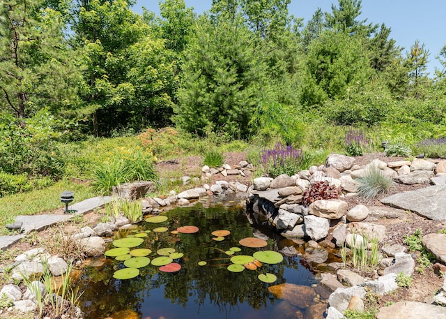 103 Hardscrabble Rd, Hollis, ME 04042 - view of yard