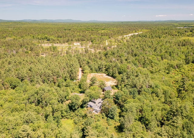 103 Hardscrabble Rd, Hollis, ME 04042 - aerial view of a forest