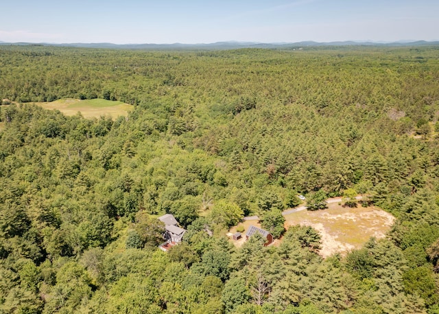 103 Hardscrabble Rd, Hollis, ME 04042 - aerial view of a heavily wooded area
