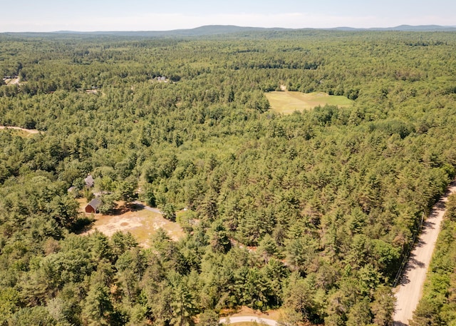 103 Hardscrabble Rd, Hollis, ME 04042 - aerial view of a heavily wooded area
