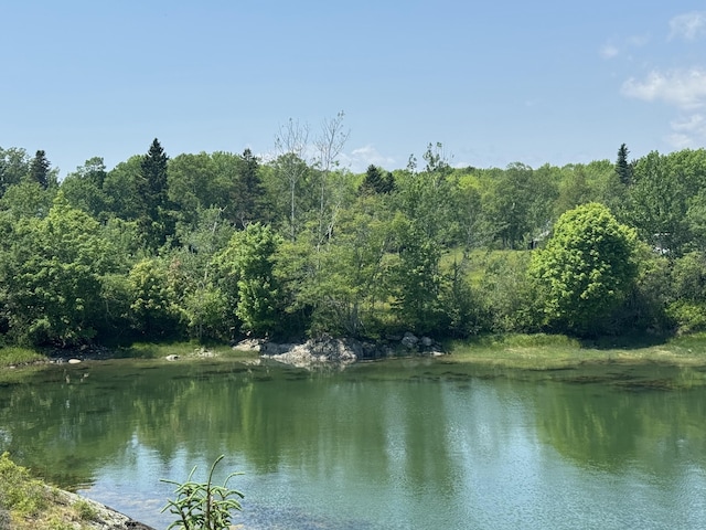005-054 Bridge St, Deer Isle, ME 04627 - photo 1
