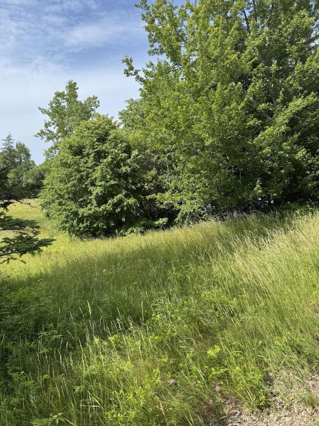 005-054 Bridge St, Deer Isle, ME 04627 - photo 2