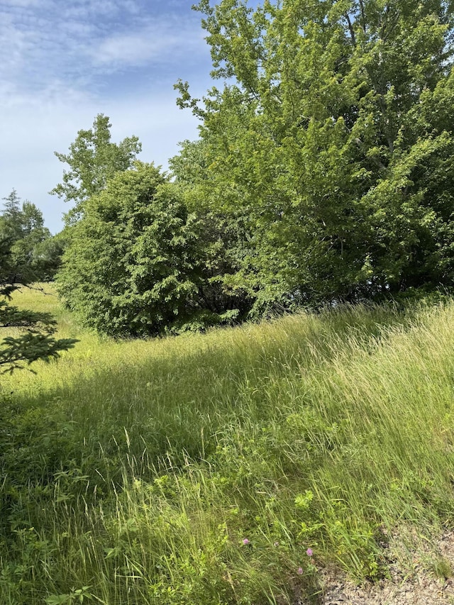 005-054 Bridge St, Deer Isle, ME 04627 - photo 2