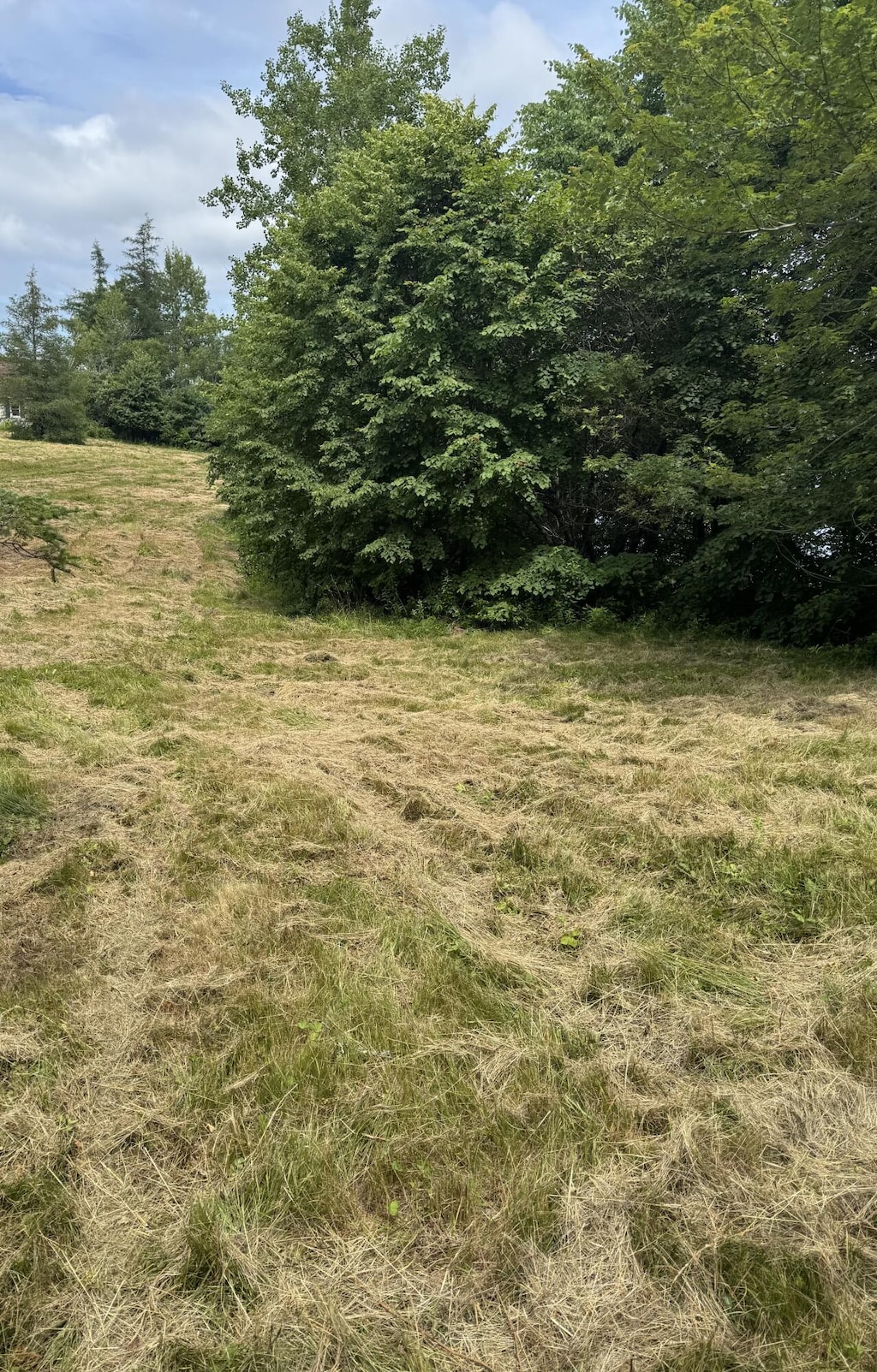 005-054 Bridge St, Deer Isle, ME 04627 - photo 4