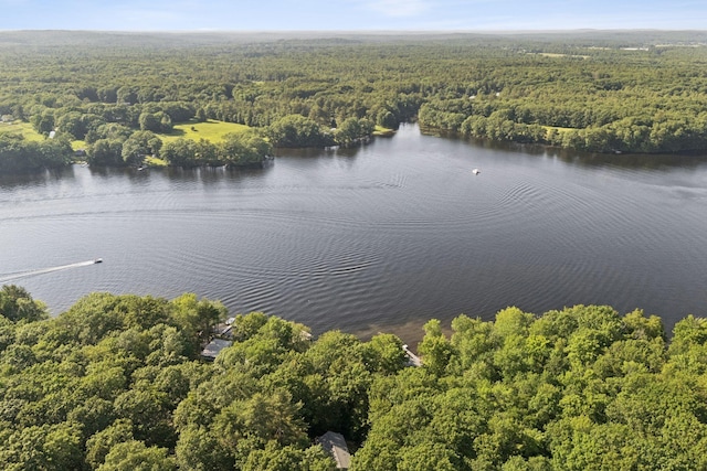 64 Mansir Ln, Richmond, ME 04357 - photo 59