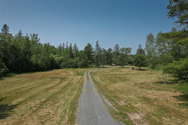 384 Point Rd, Hancock, ME 04640 - photo 63