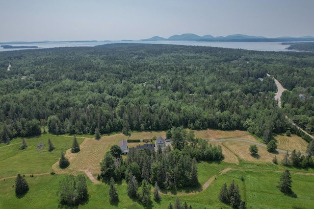 384 Point Rd, Hancock, ME 04640 - photo 47