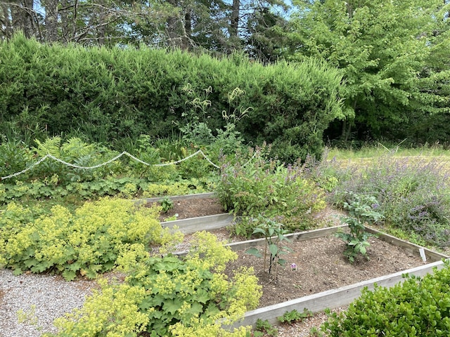 384 Point Rd, Hancock, ME 04640 - photo 66