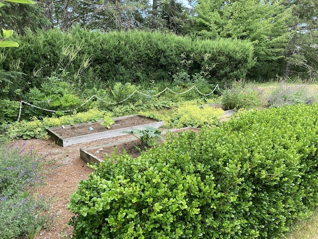 384 Point Rd, Hancock, ME 04640 - photo 68