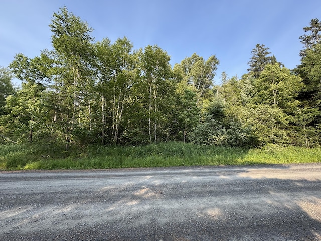 157 Cyr Rd, Cross Lake Twp, ME 04779 - view of road featuring a wooded view