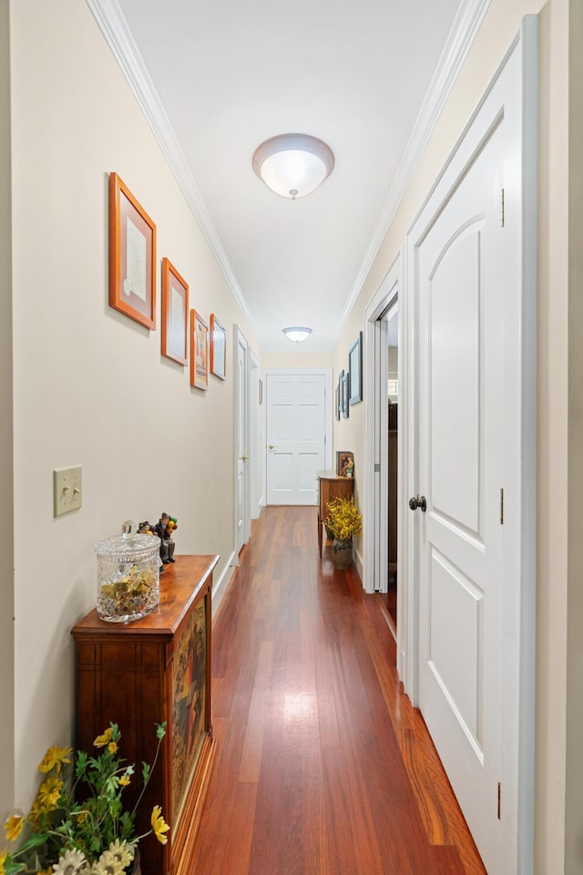 250 Mere Point Rd, Brunswick, ME 04011 - corridor with ornamental molding and dark wood-style floors