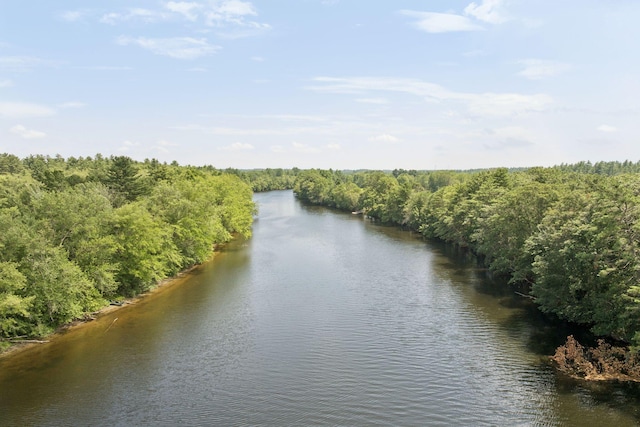 305 River Rd, Hollis, ME 04042 - photo 31