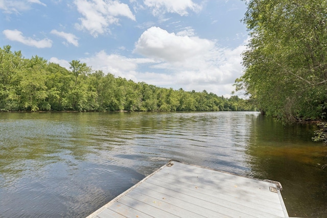 305 River Rd, Hollis, ME 04042 - photo 38