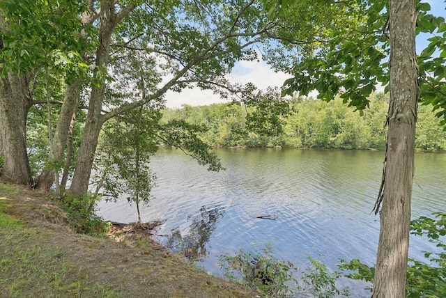 305 River Rd, Hollis, ME 04042 - photo 41