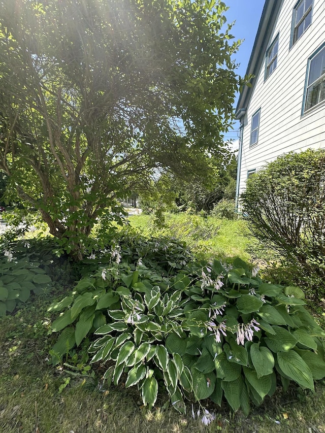 24 Old Rte 1, Waldoboro, ME 04572 - photo 37