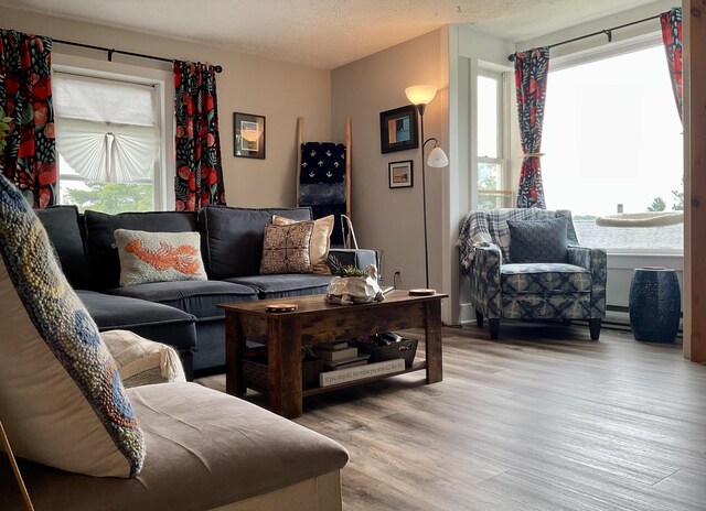 10 Aegis Dr Unit B, Bath, ME 04530 - living area with plenty of natural light and light wood-style floors