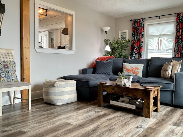 10 Aegis Dr Unit B, Bath, ME 04530 - living room featuring wood finished floors