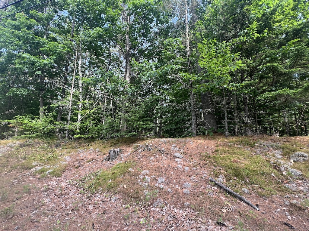 LOT5 Intervale Rd, Bethel, ME 04217 - photo 2