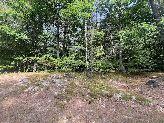 LOT5 Intervale Rd, Bethel, ME 04217 - photo 3